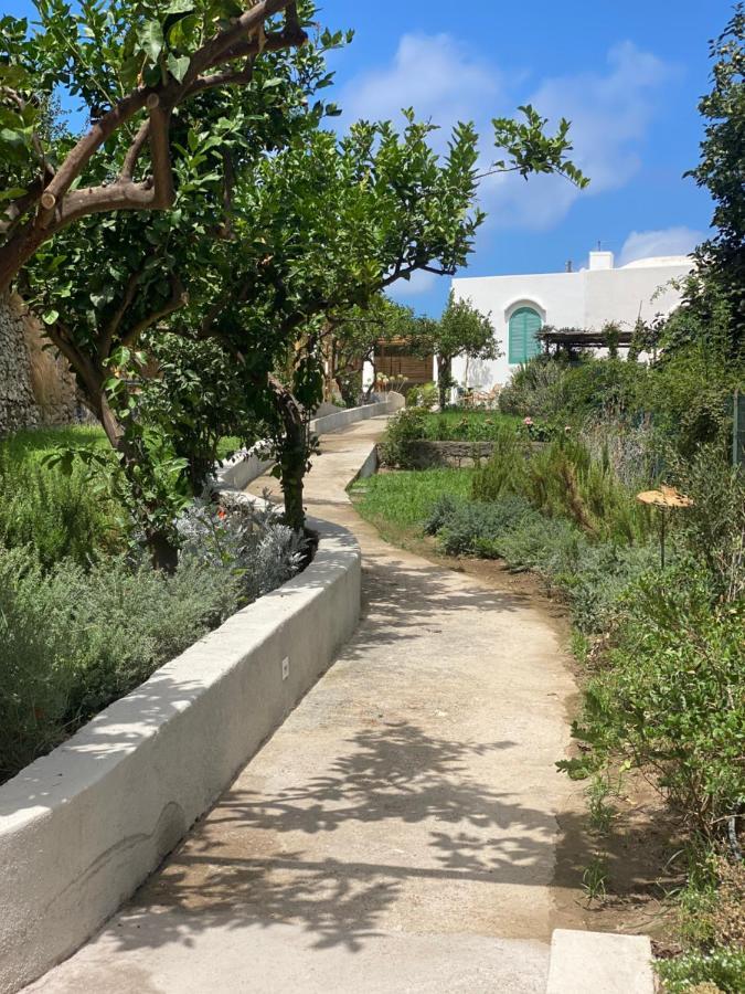Capri Suite Marina Grande Εξωτερικό φωτογραφία