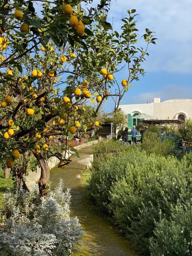 Capri Suite Marina Grande Εξωτερικό φωτογραφία